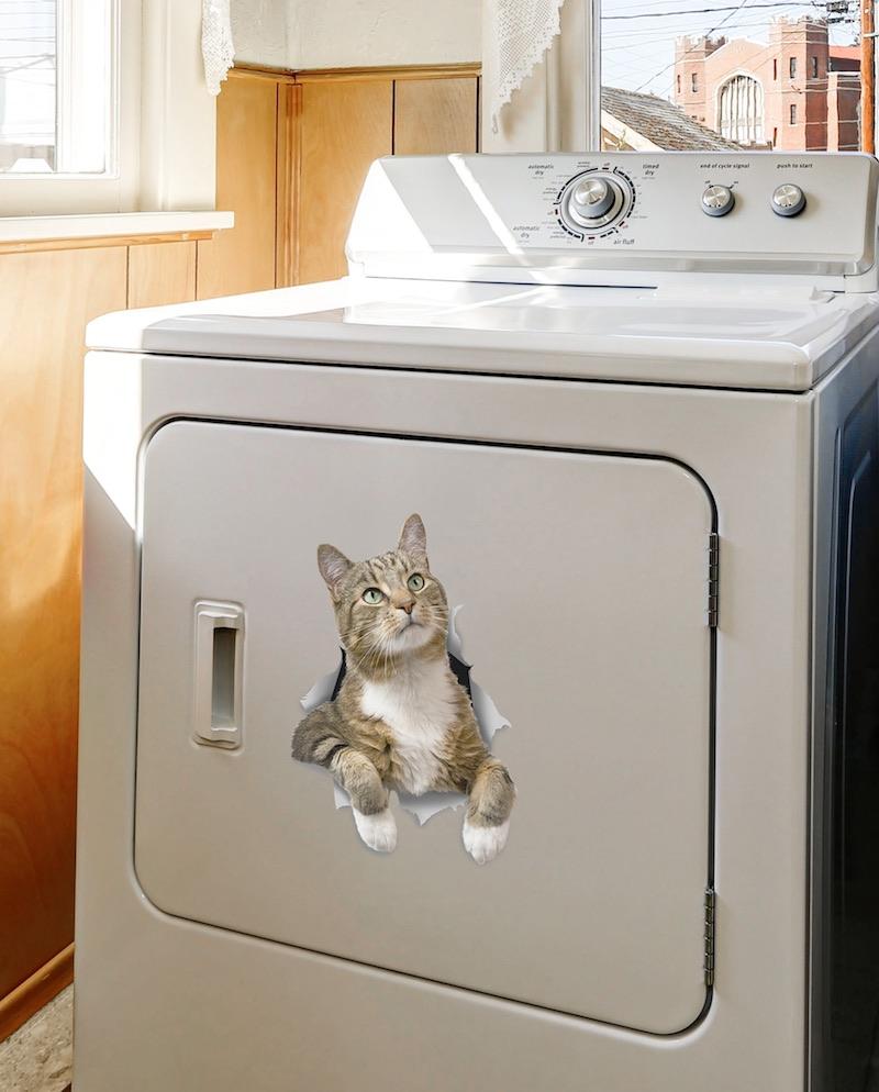 Pondering Tabby Decals