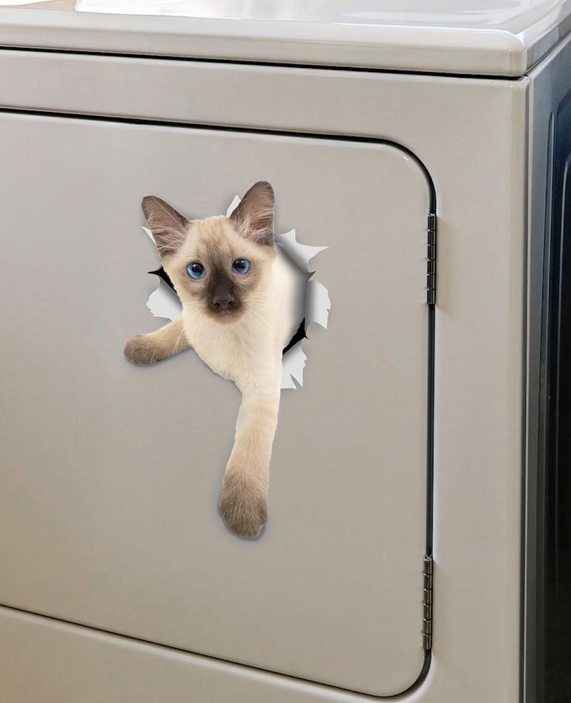 Siamese Kitten Decals