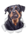 Funny Rottweiler Decals