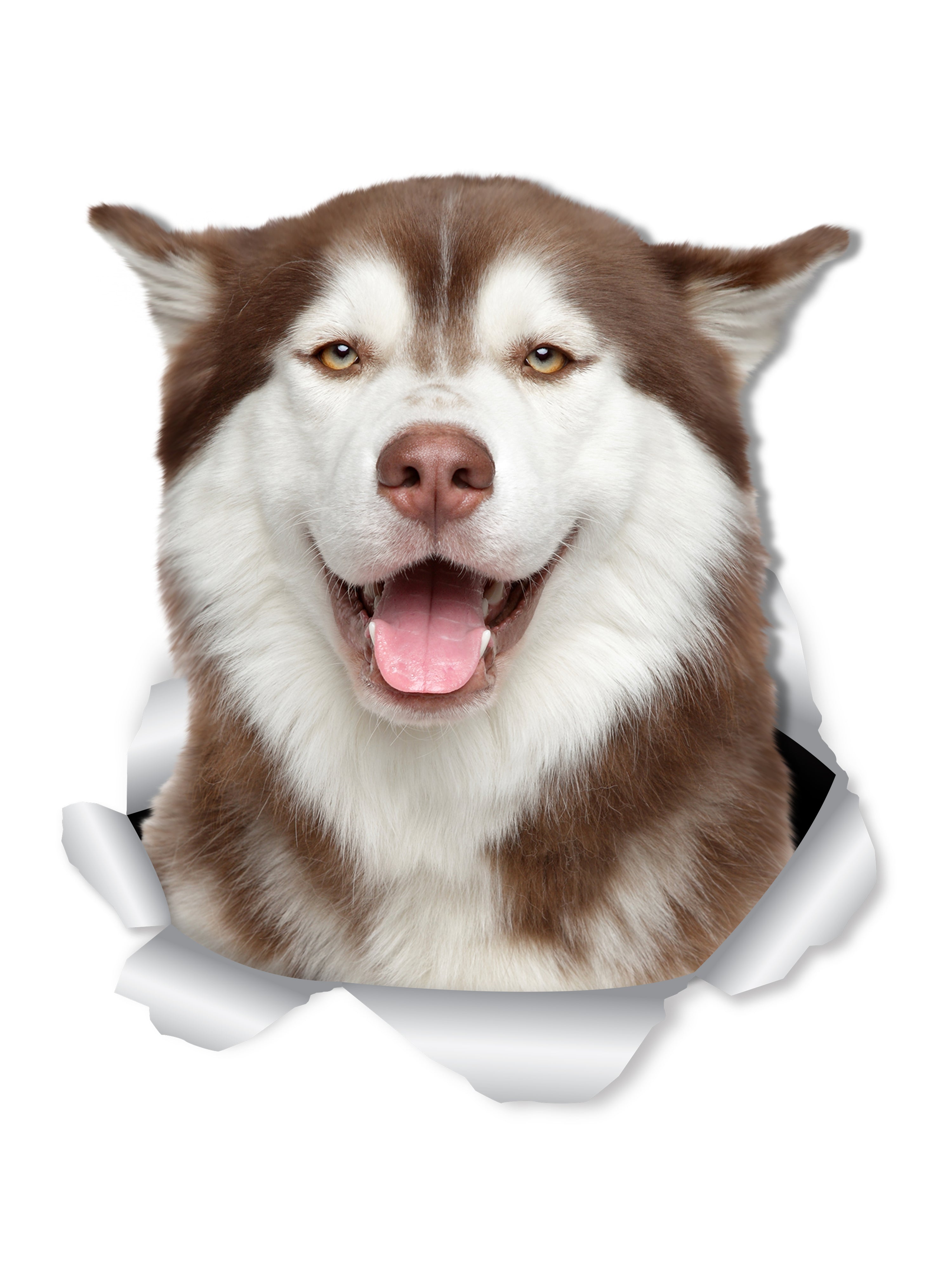 Happy Siberian Husky Decals - Winston & Bear