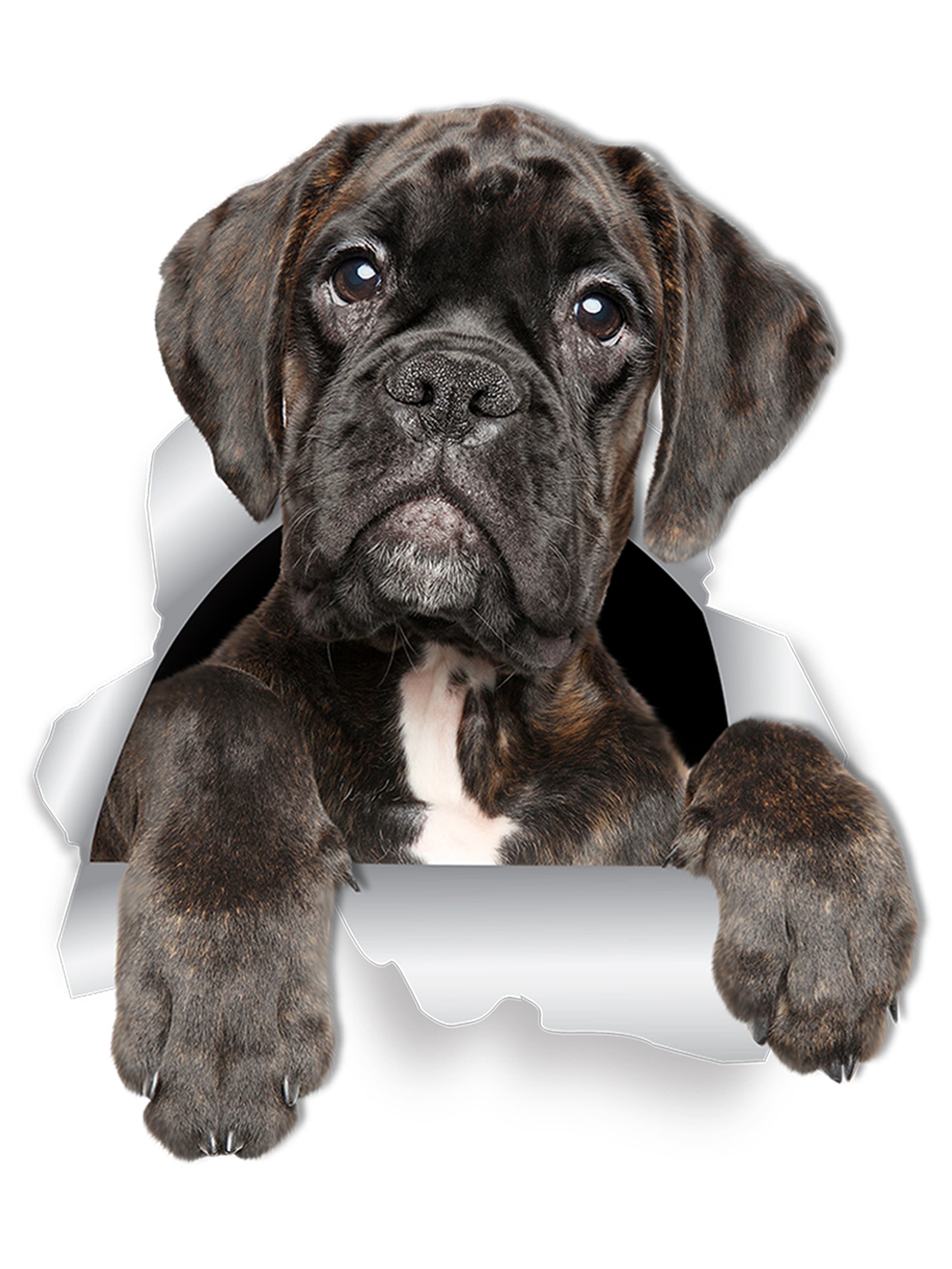 Adorable Boxer Dog Decals