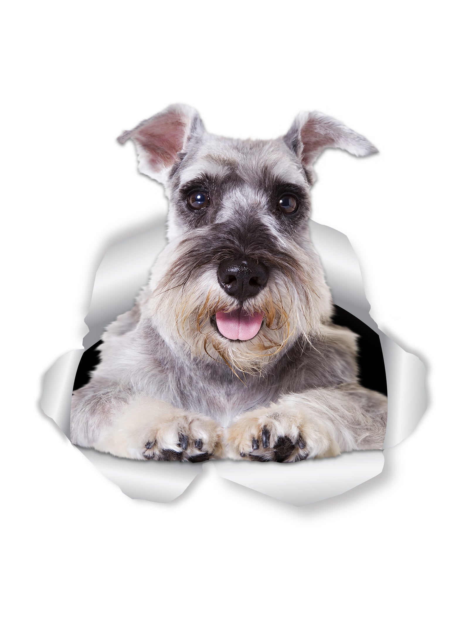Super Schnauzer Decals