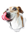Hungry Jack Russell Decals