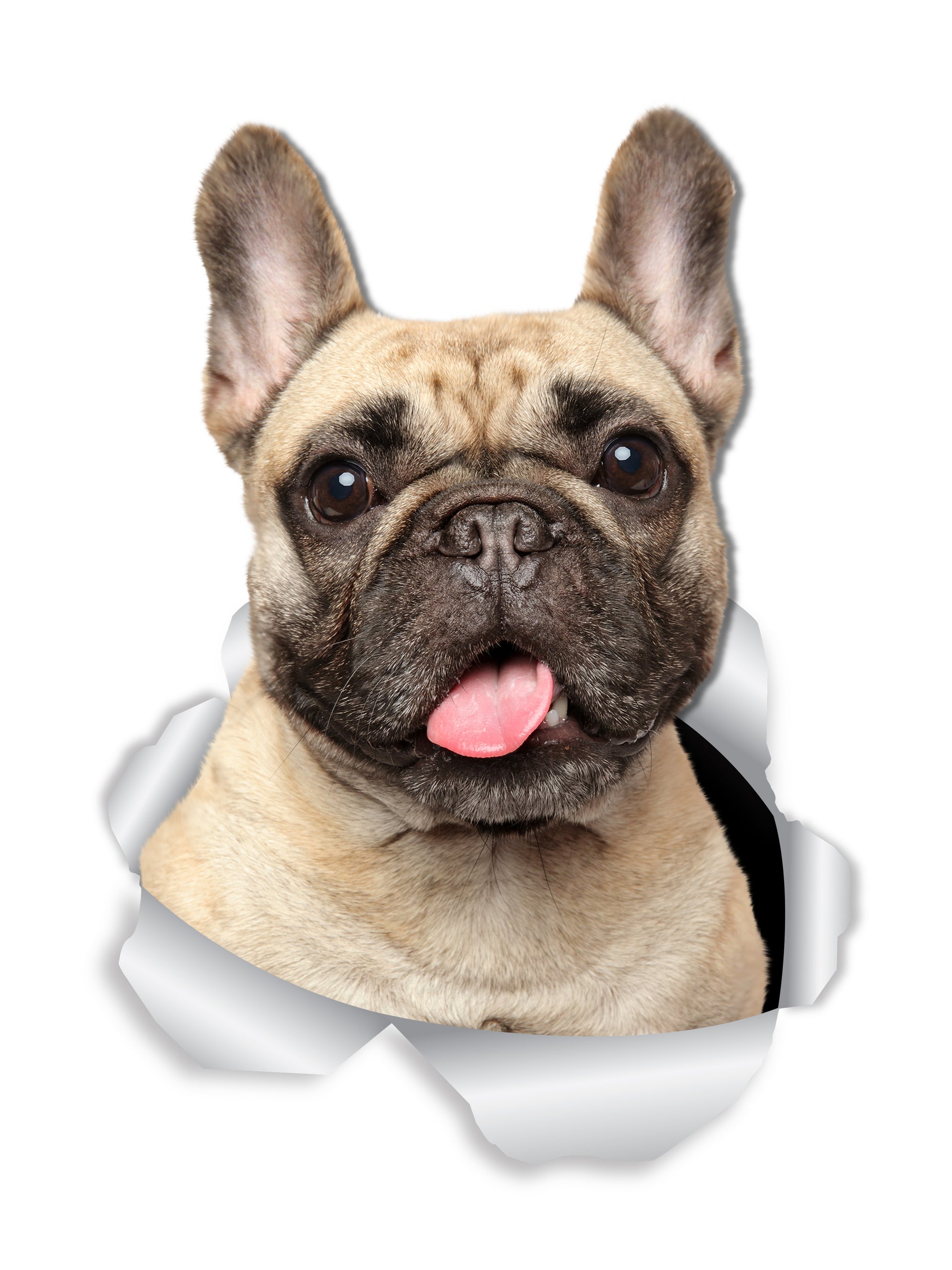 Loveable French Bulldog Decals