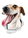 Happy Jack Russell Decals