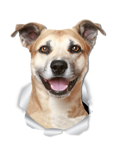 Smiling Staffie Decals