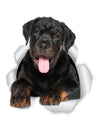 Friendly Rottweiler Decals