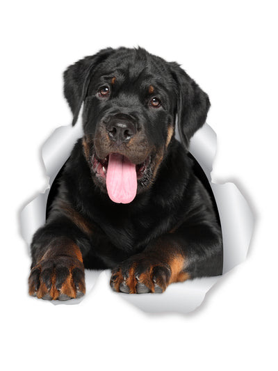 Friendly Rottweiler Decals