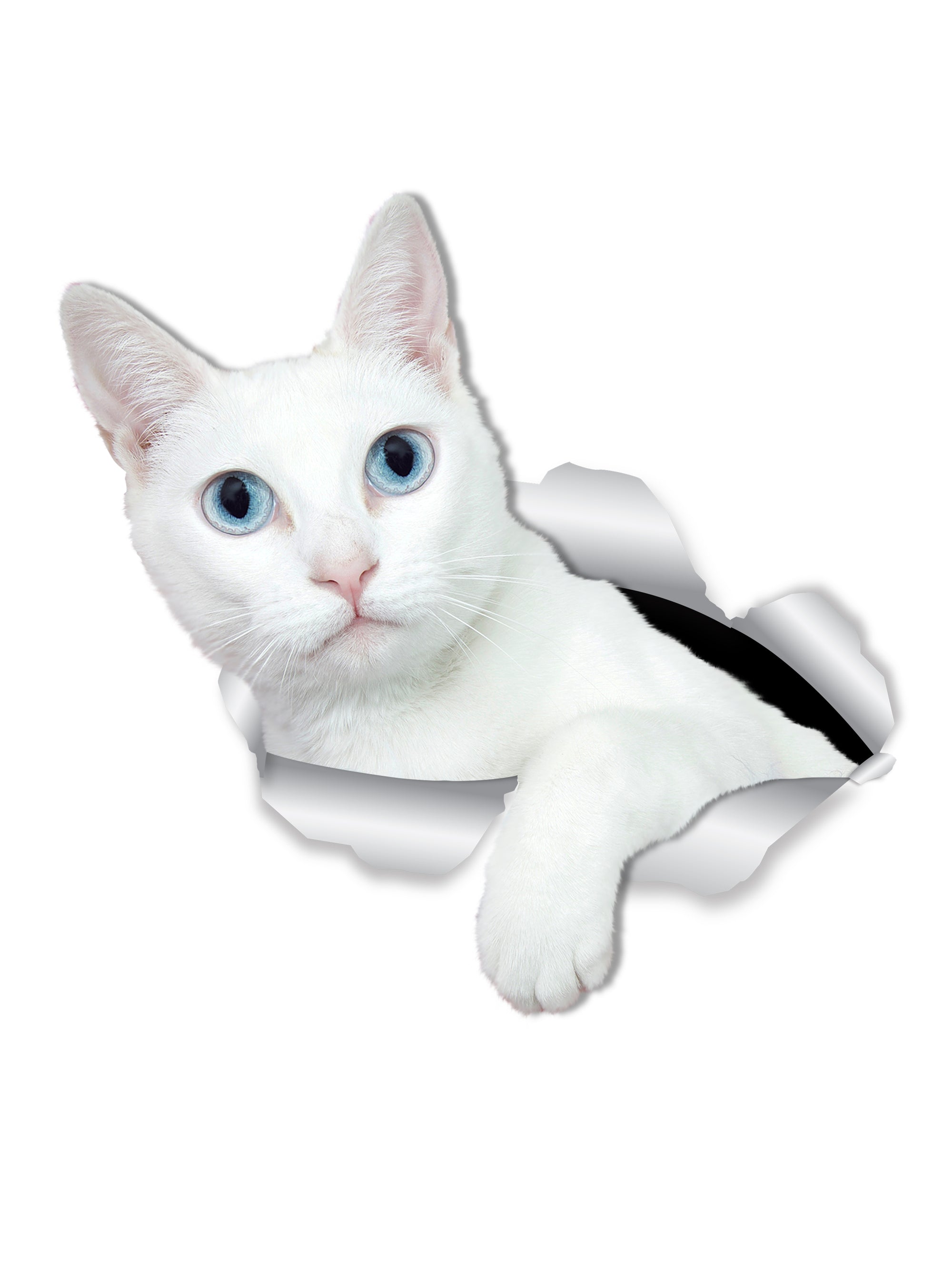 White Kitty Decals