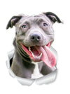 Happy Pit Bull Decals