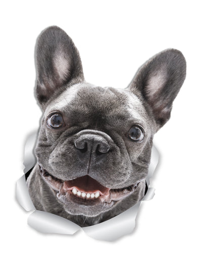 Smiling Frenchie Decals