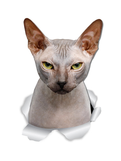 Grumpy Sphynx Cat Decals.