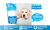 Peeking Labrador Mug