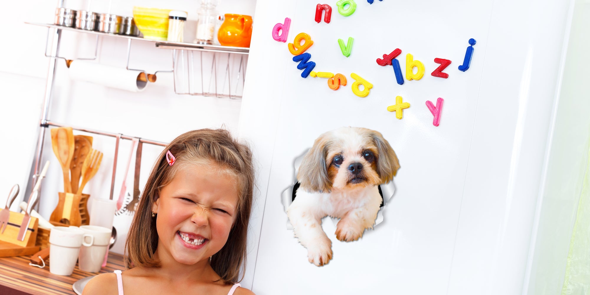 Curious Shih tzu Decals