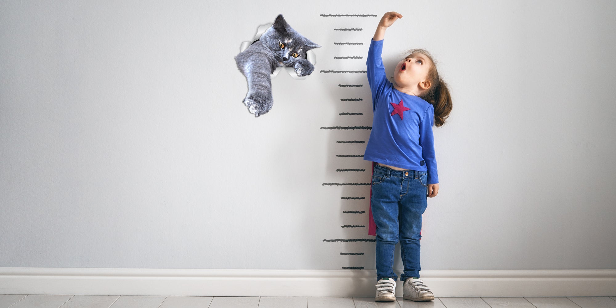 Playing Grey Cat Decals