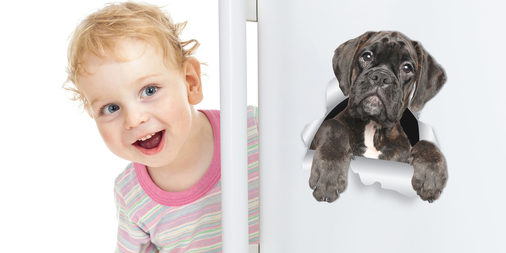 Adorable Boxer Dog Decals