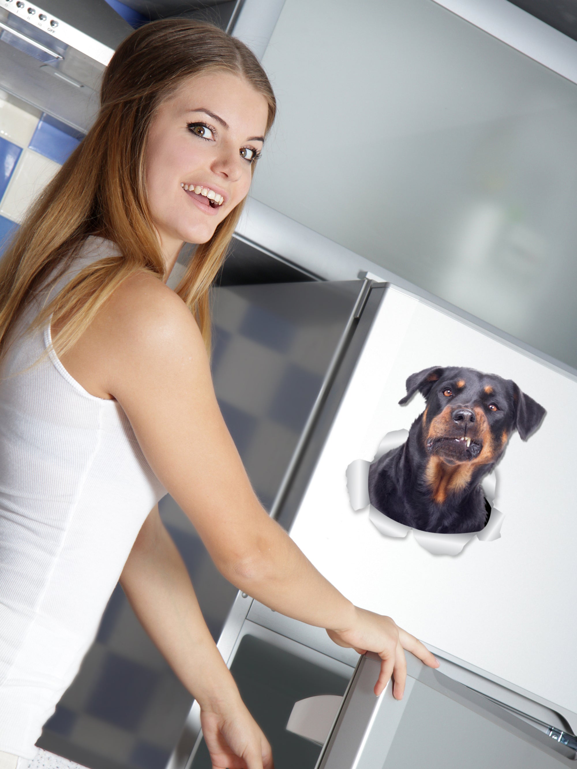 Funny Rottweiler Decals