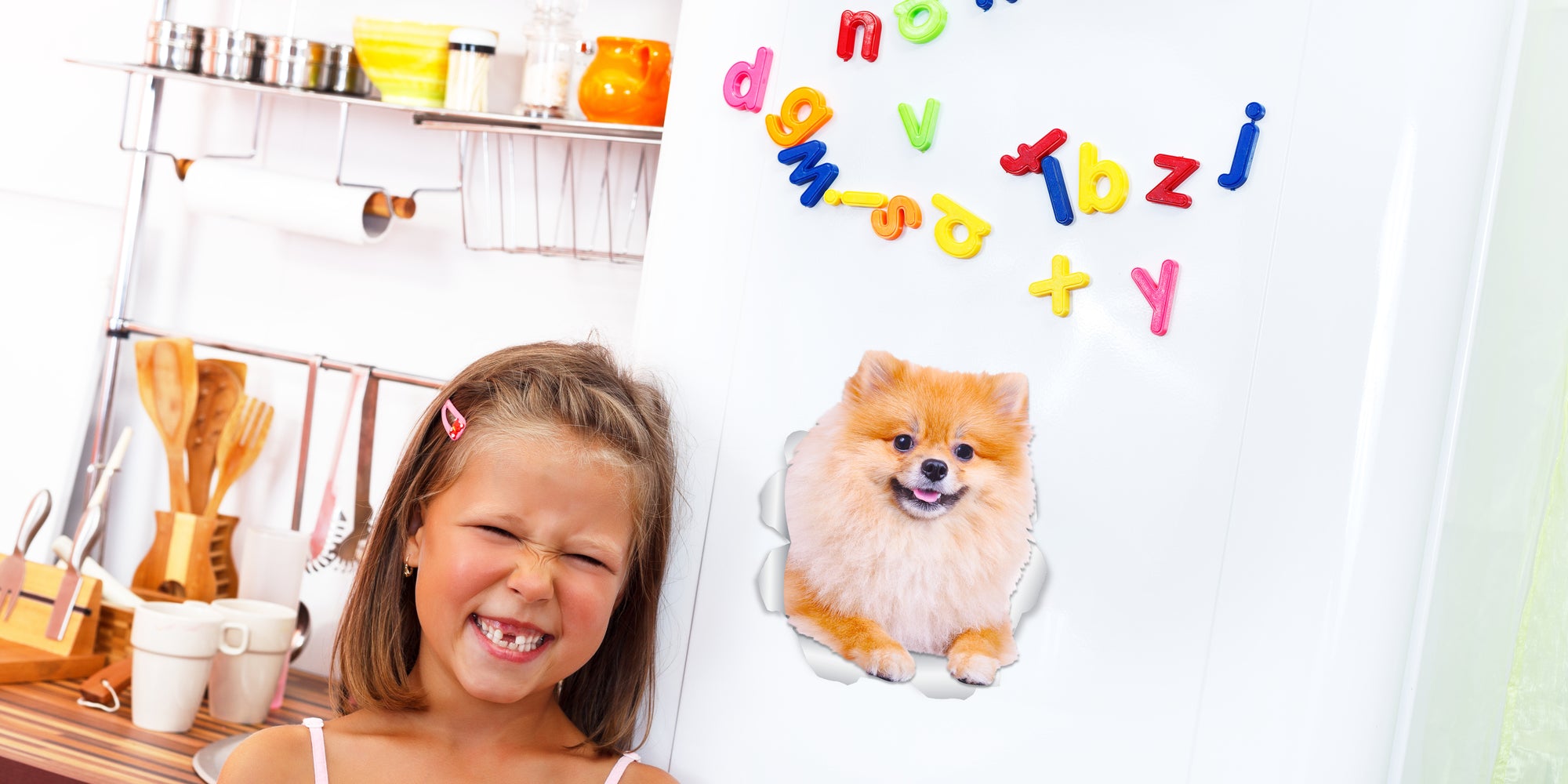Puffy Pomeranian Decals