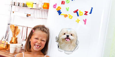 Bichon Frise Decals