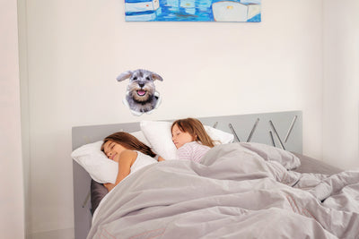 Smiling Schnauzer Decals