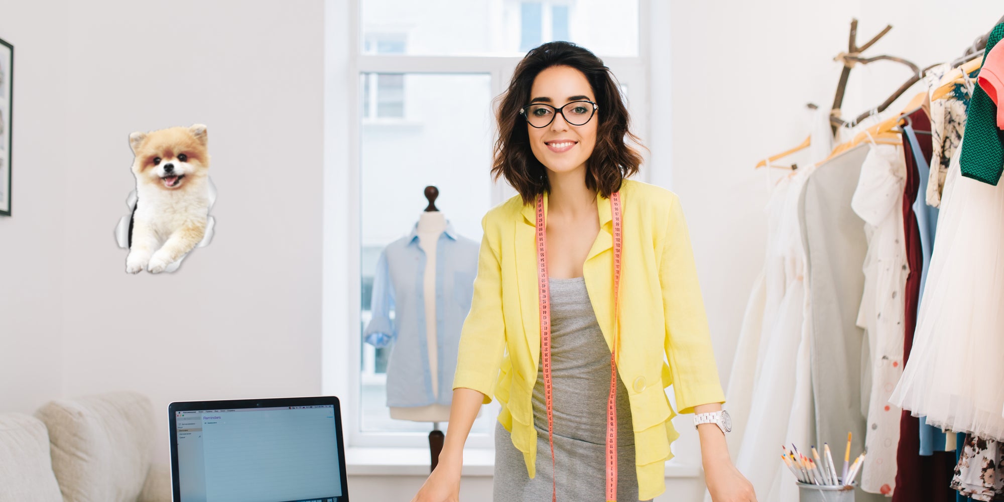 Funny Pomeranian Decals