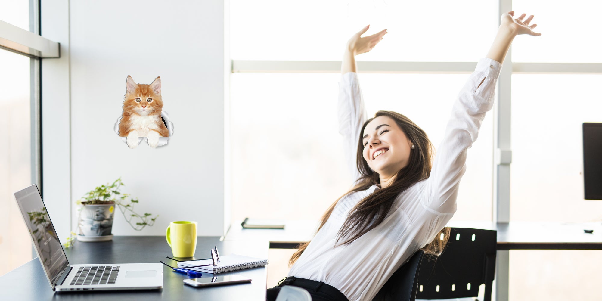 Cute Ginger Kitty Decals