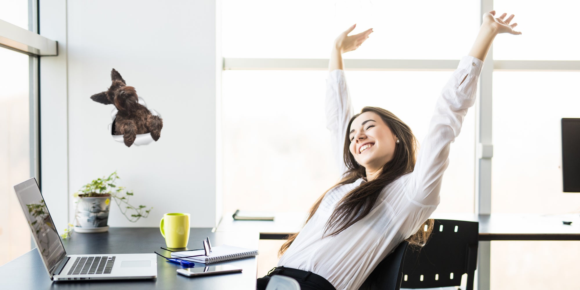 Cute Schnauzer Decals