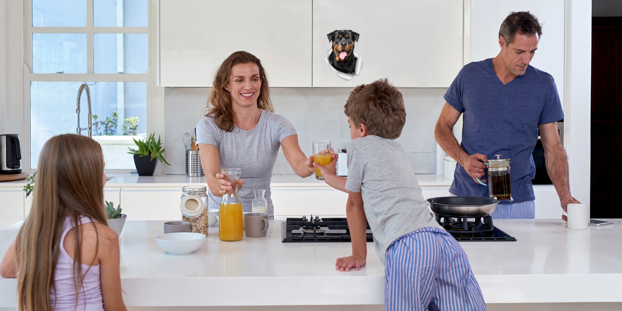 Smiling Rottweiler Decals