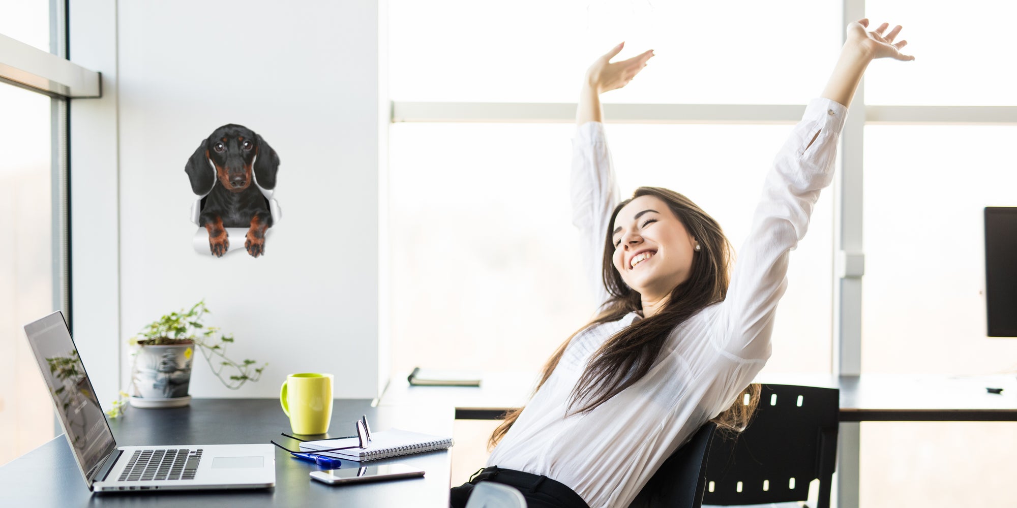 Cute Dachshund Decal..