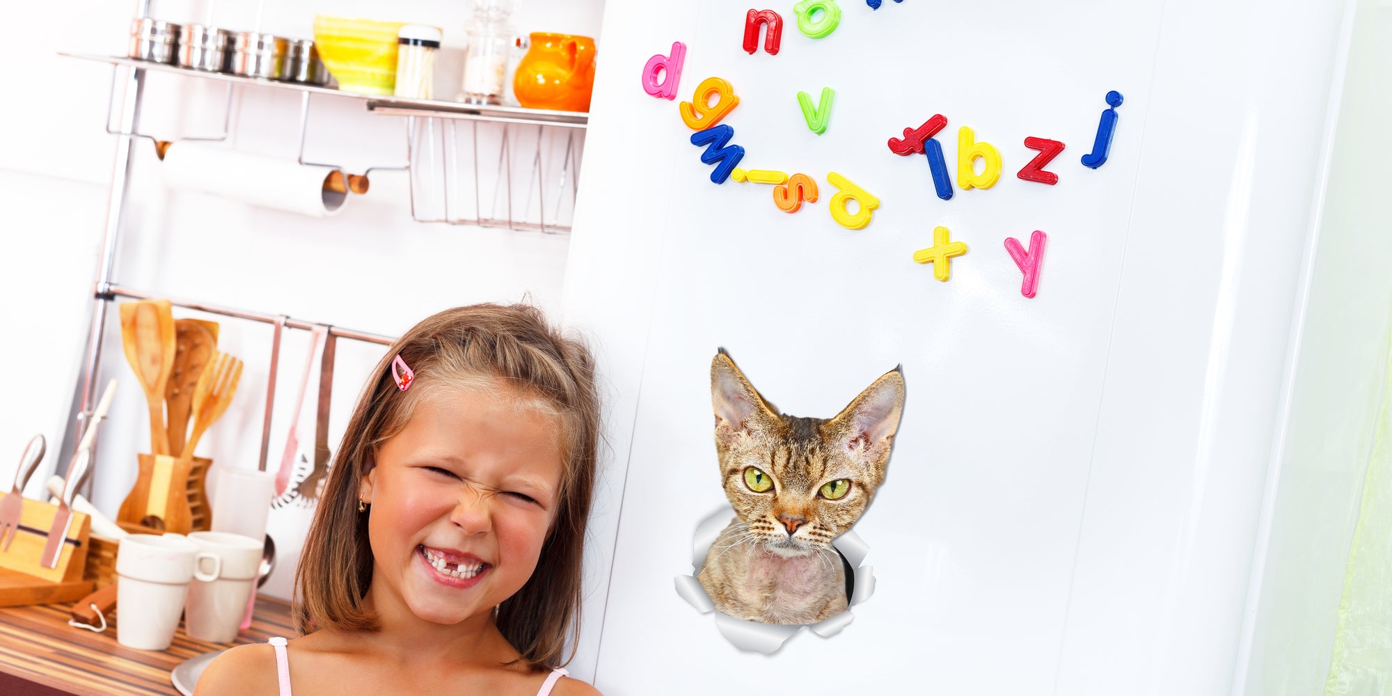 Grumpy Rex Cat Decals