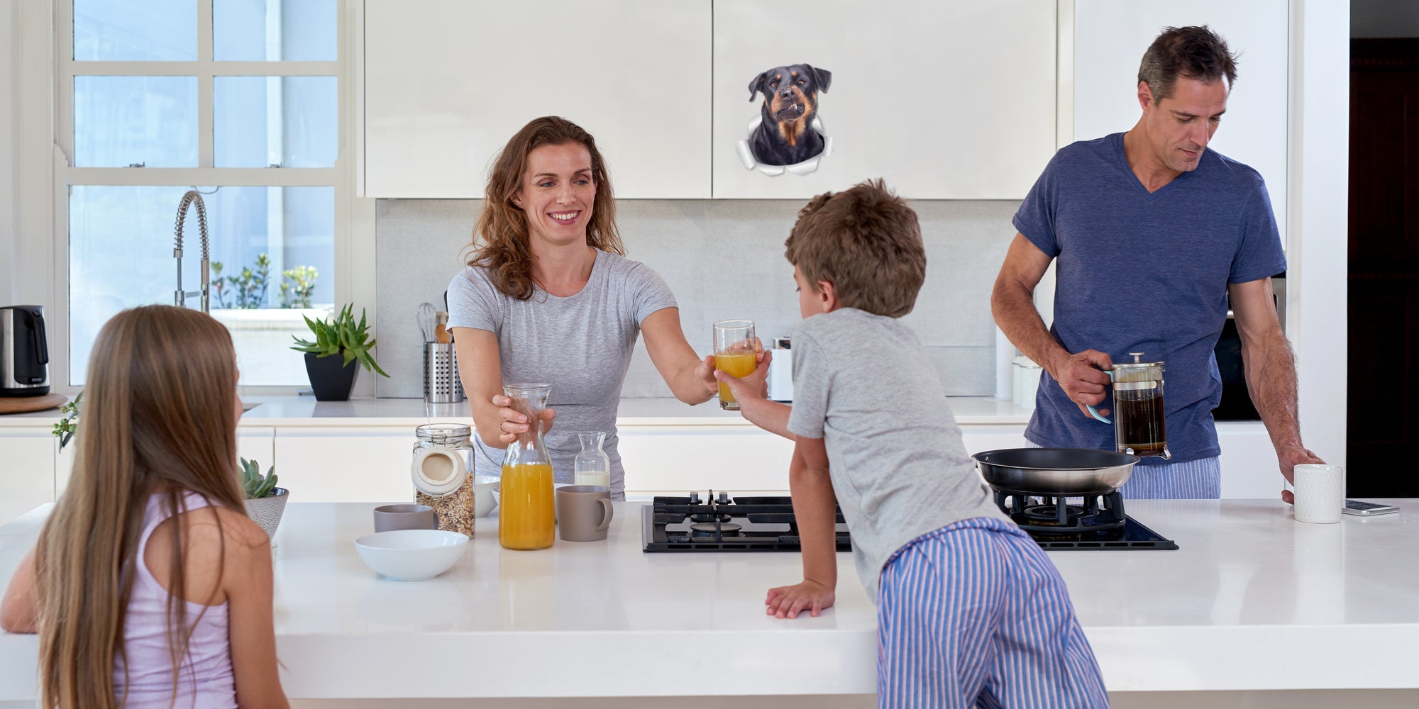 Funny Rottweiler Decals