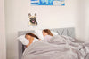Loveable French Bulldog Decals