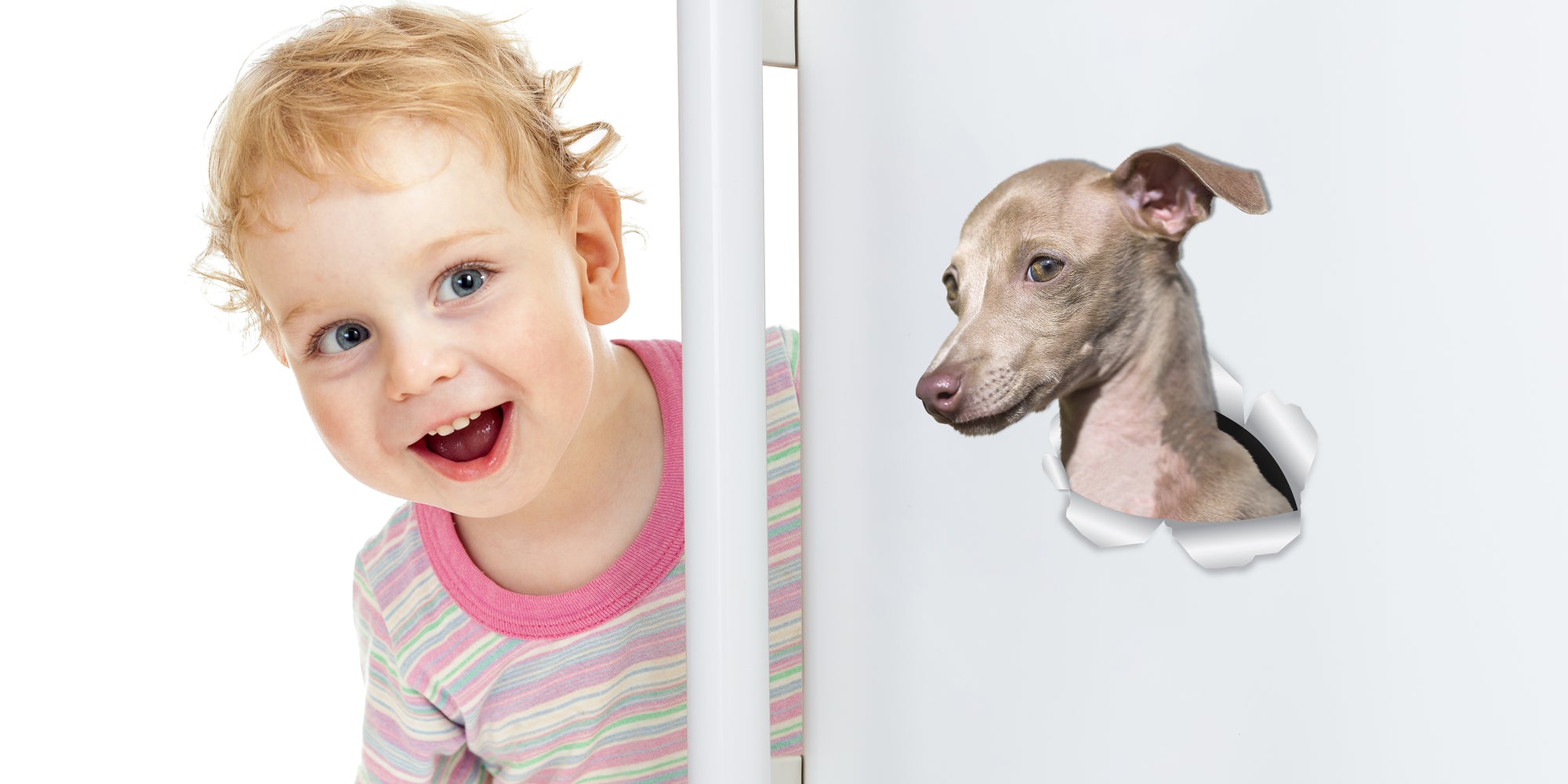 Cute Greyhound Decals