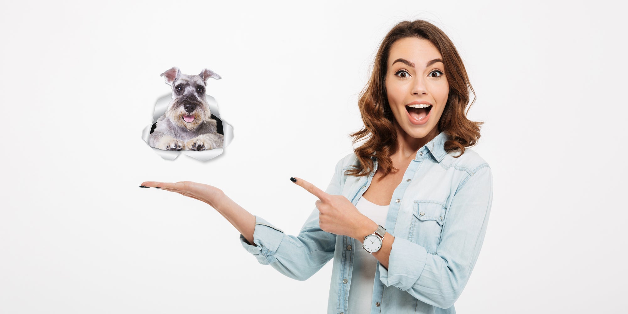 Super Schnauzer Decals