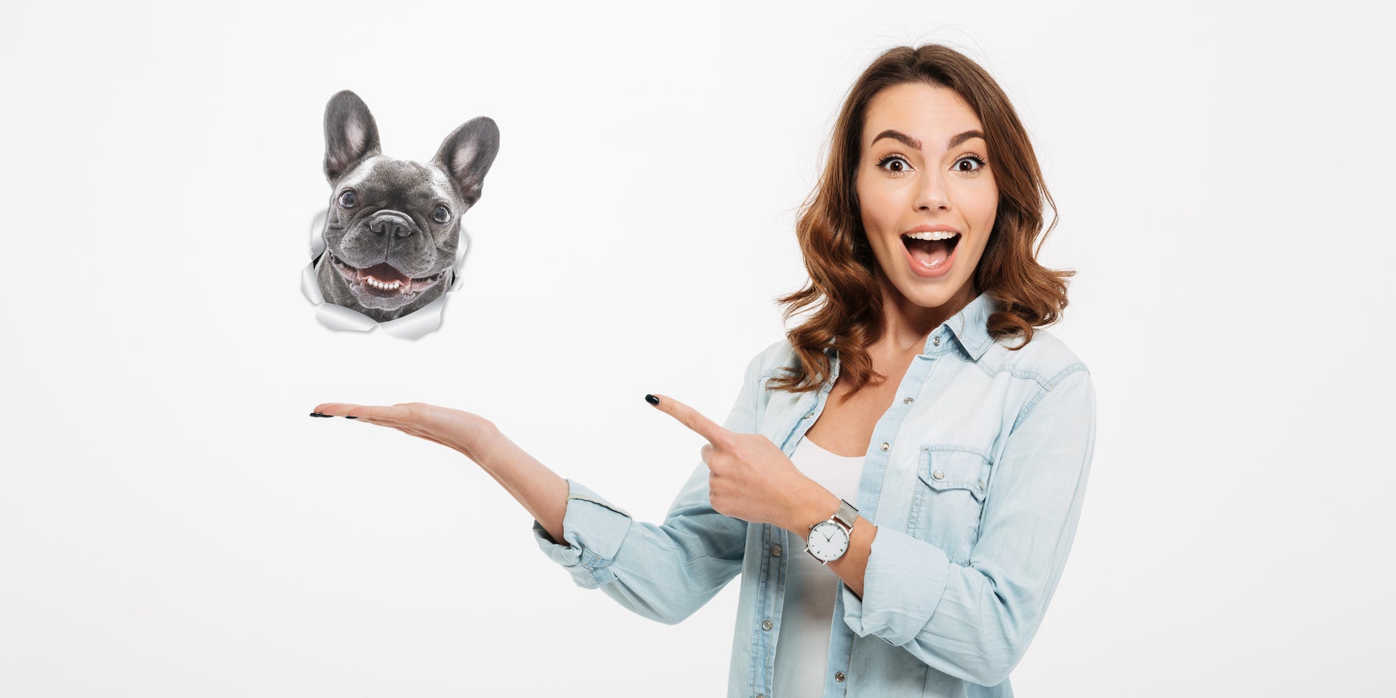 Smiling Frenchie Decals