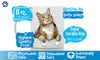 Pondering Tabby Mug