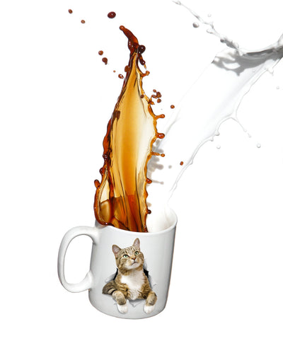 Pondering Tabby Mug