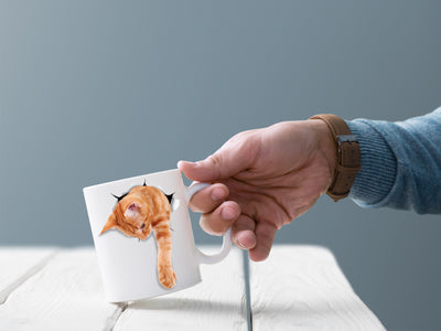 Reaching Ginger Mug