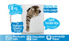 Reaching Tabby Mug