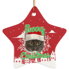Custom Your Pet Christmas Ornaments