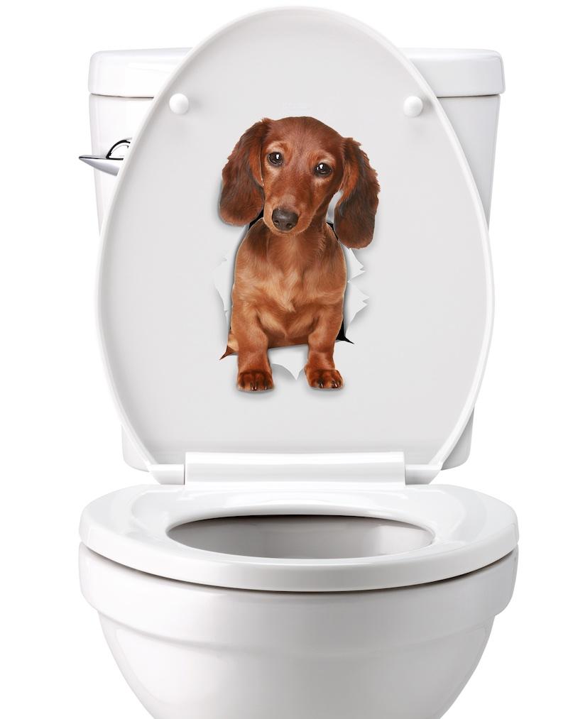 Adorable Dachshund Decals