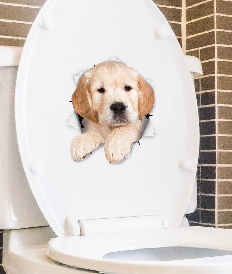 Golden Retriever Pup Decals