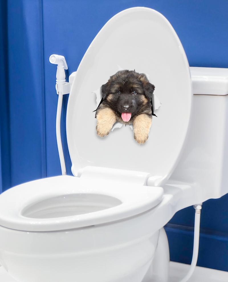 German Shepherd Puppy Decals