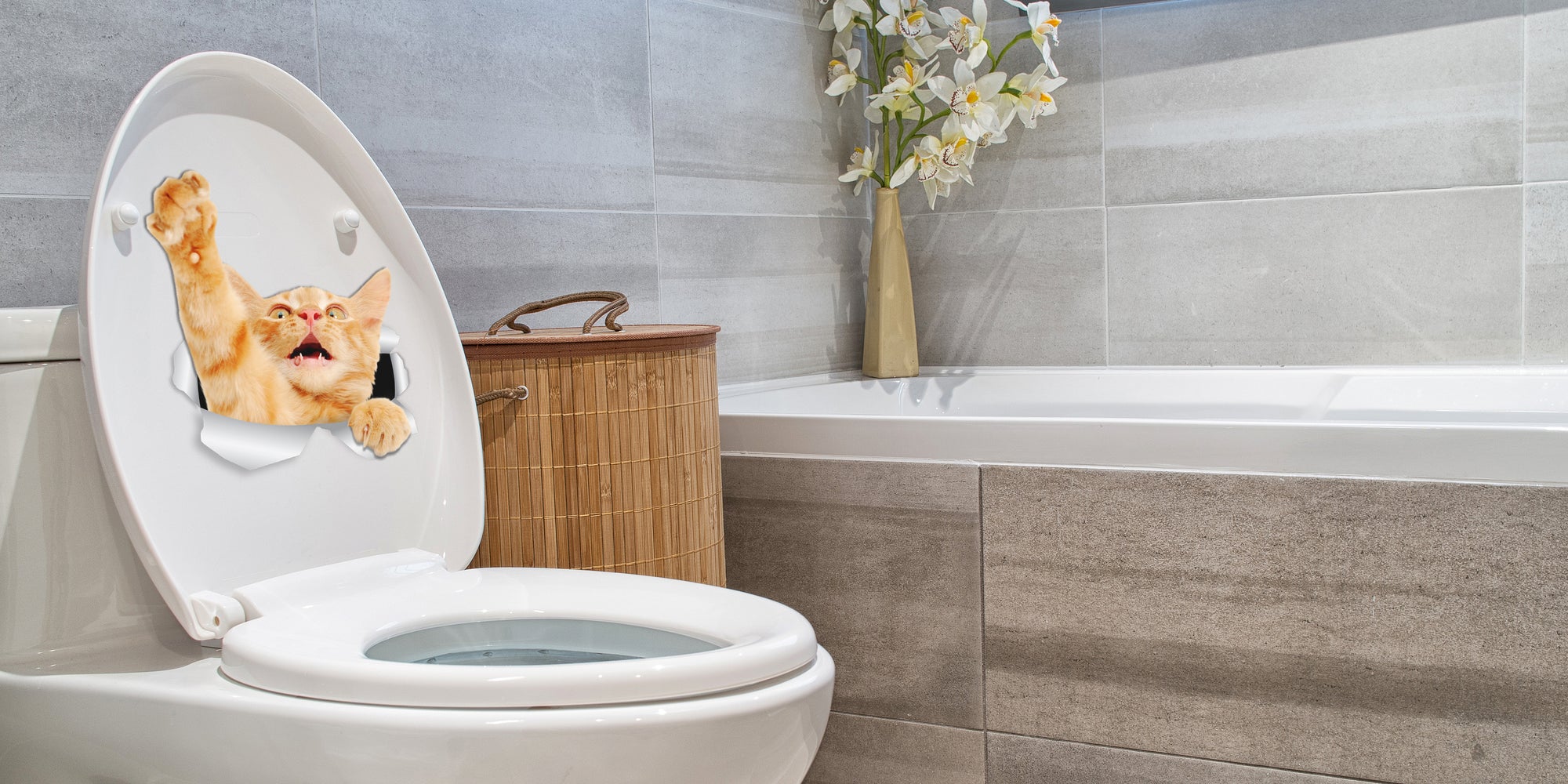 Playing Ginger Decals