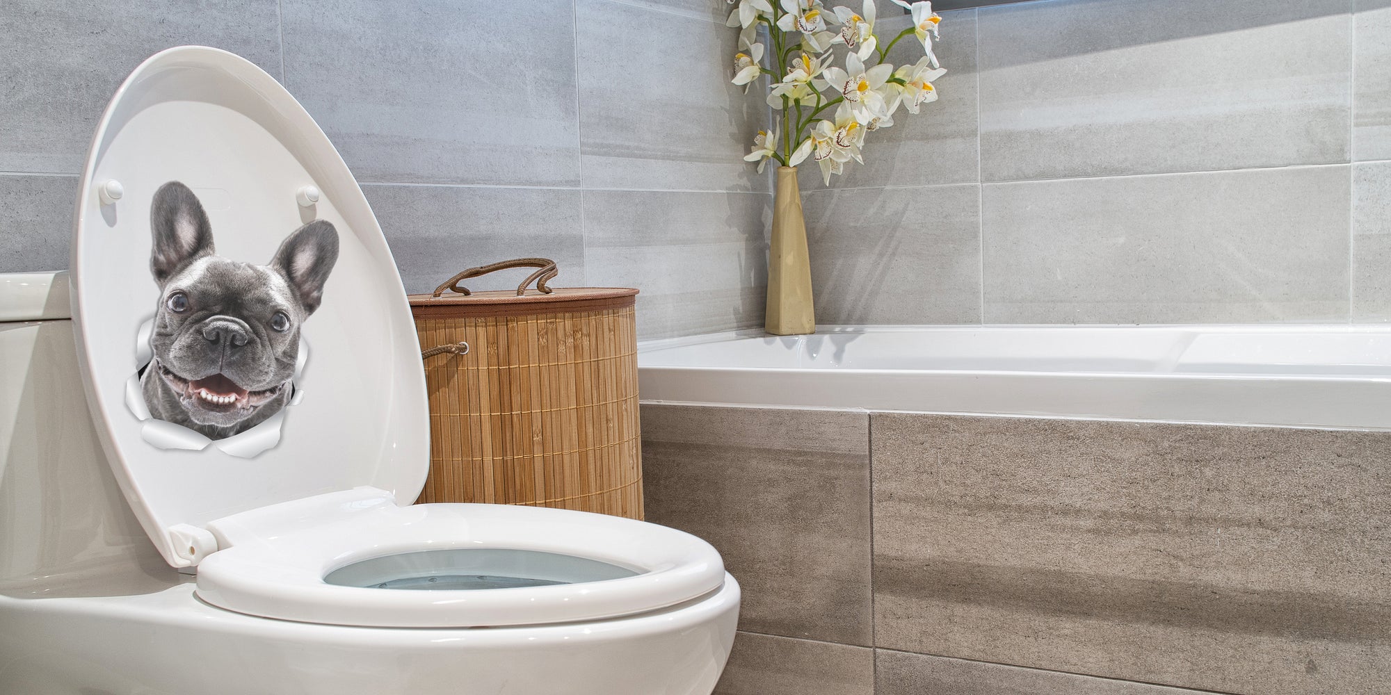 Smiling Frenchie Decals