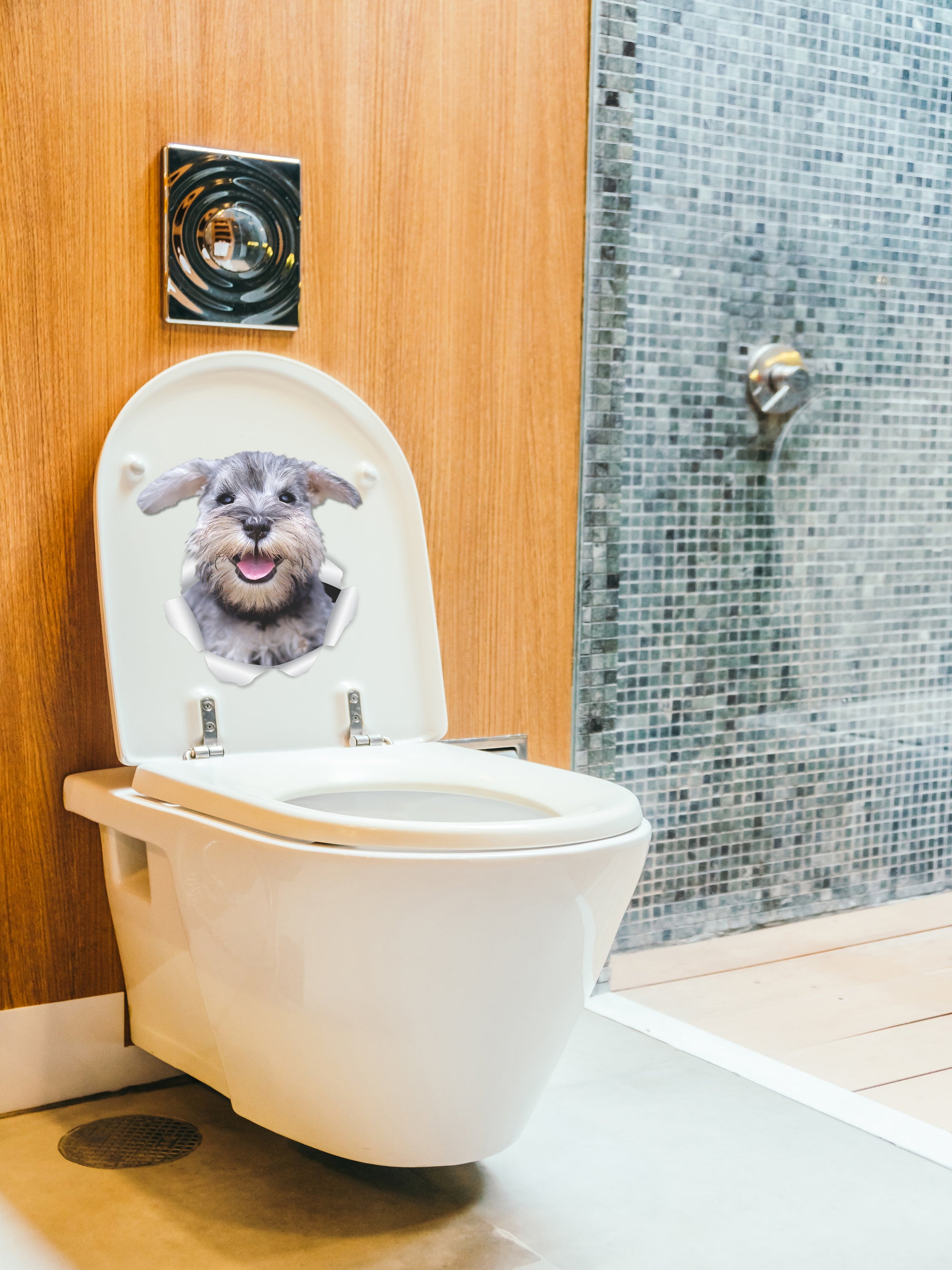 Smiling Schnauzer Decals