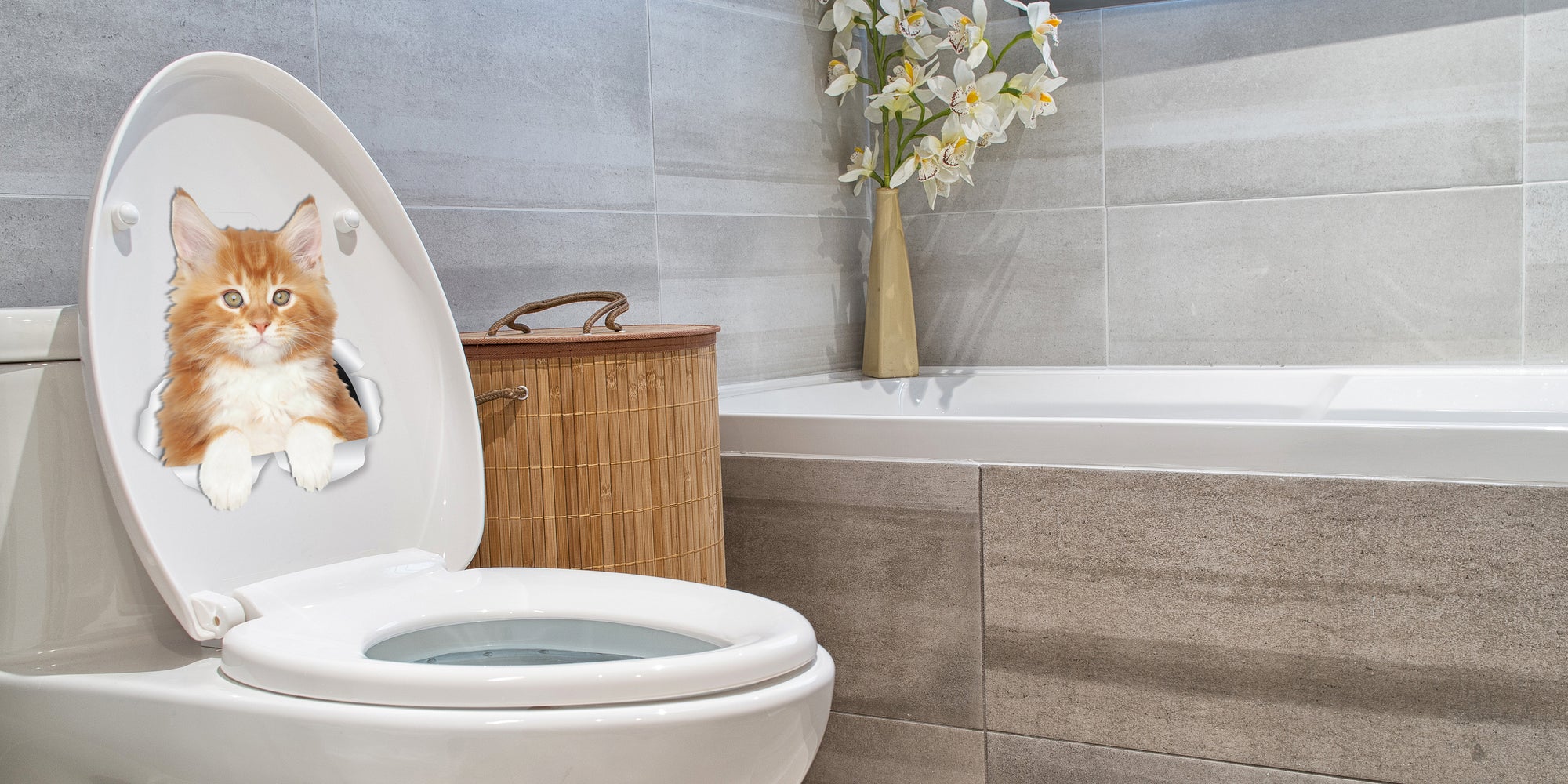 Cute Ginger Kitty Decals