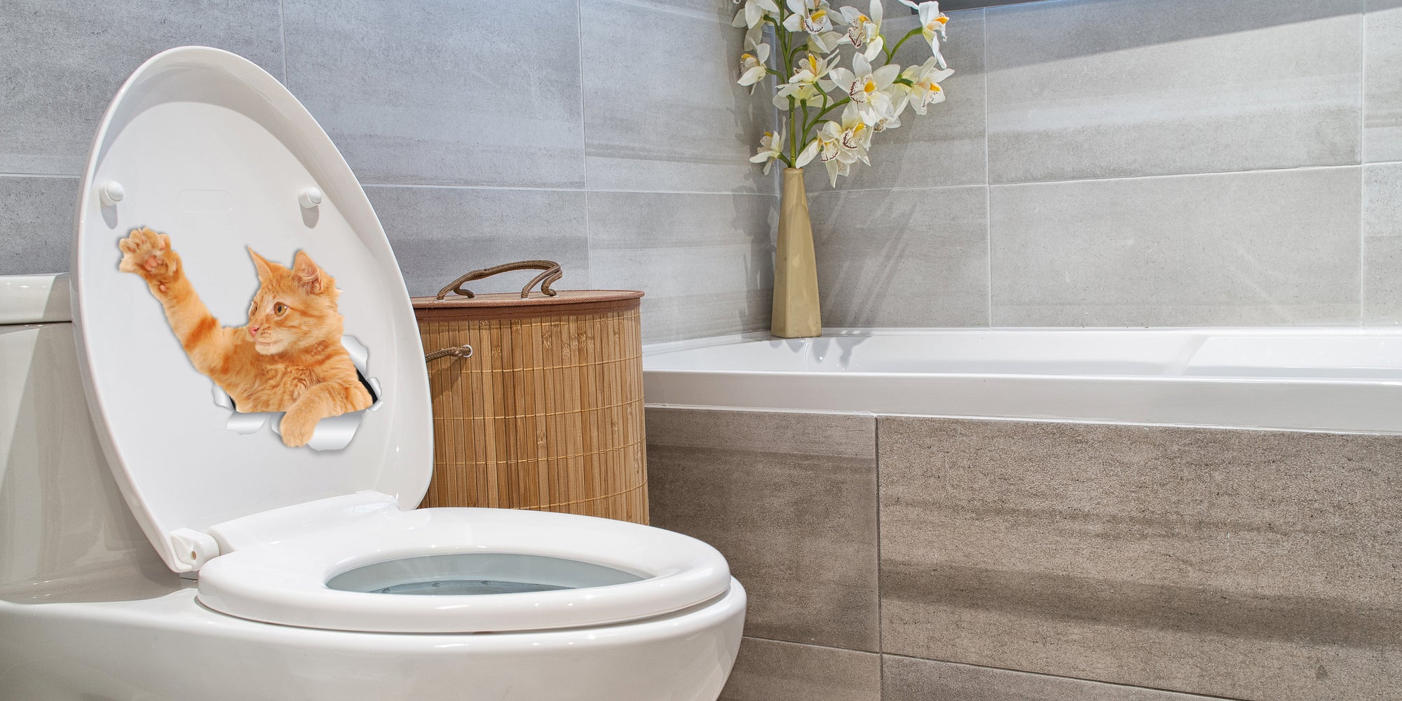 Playing Ginger Decals