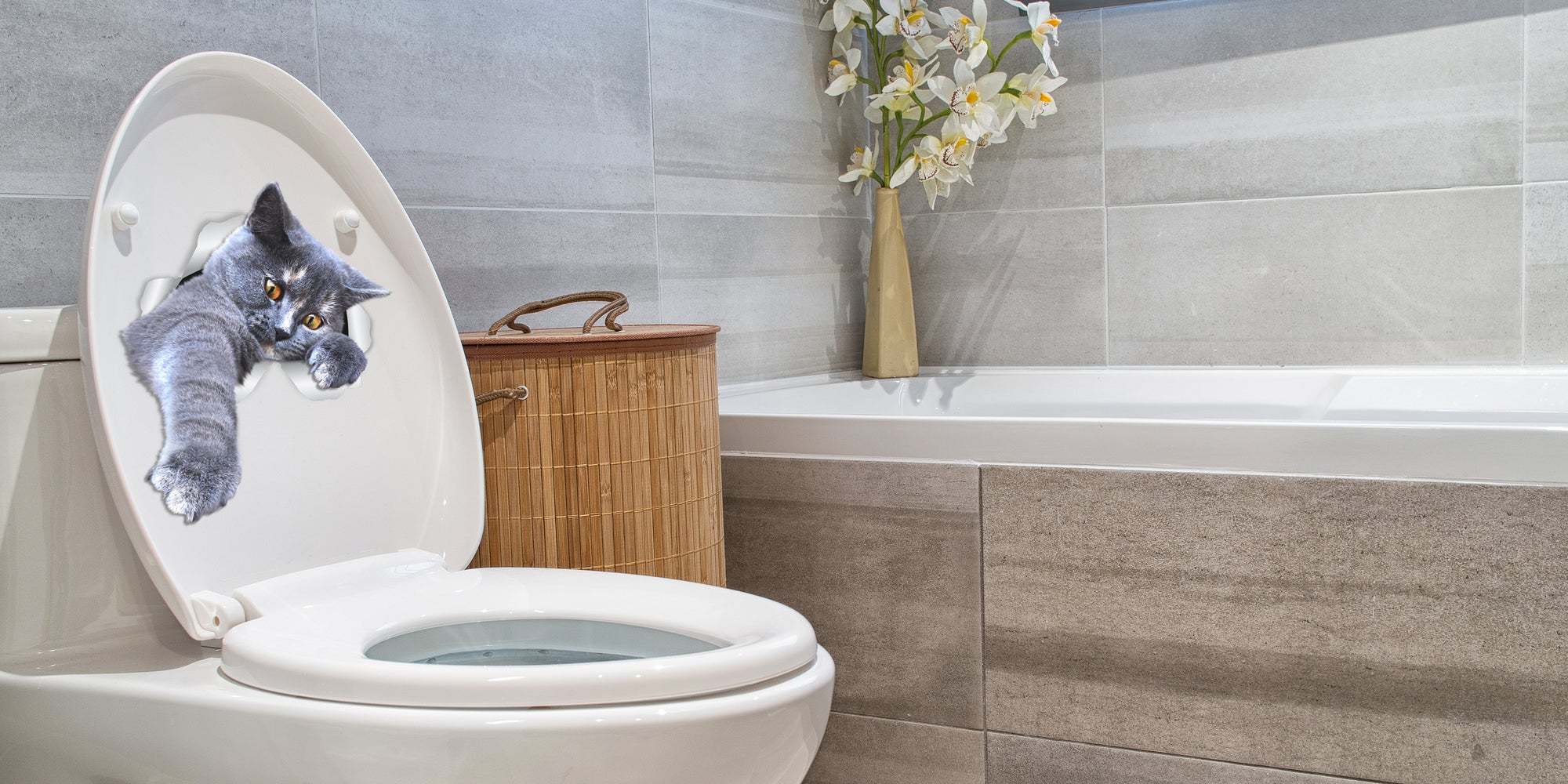 Playing Grey Cat Decals