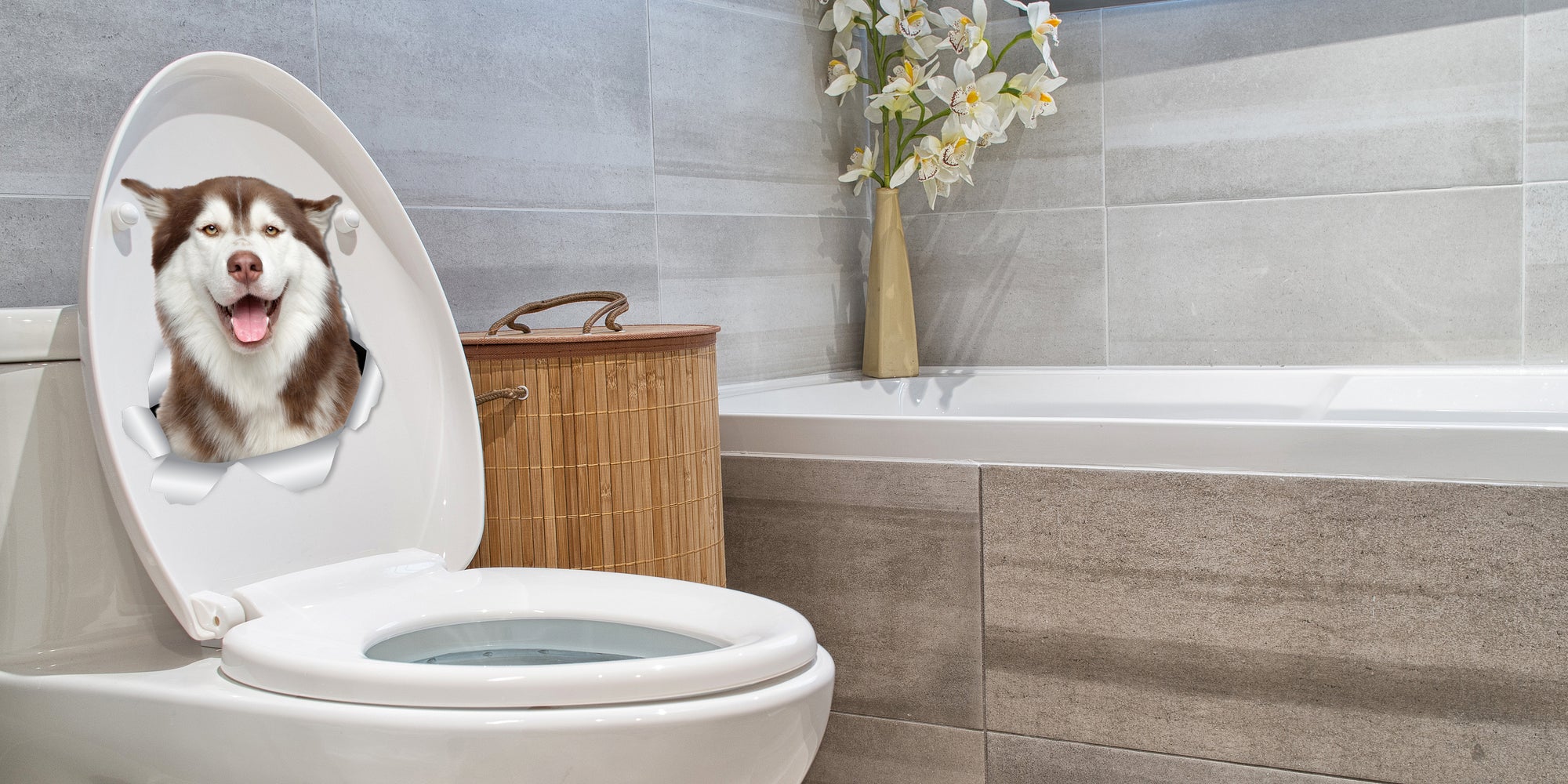 Happy Siberian Husky Decals